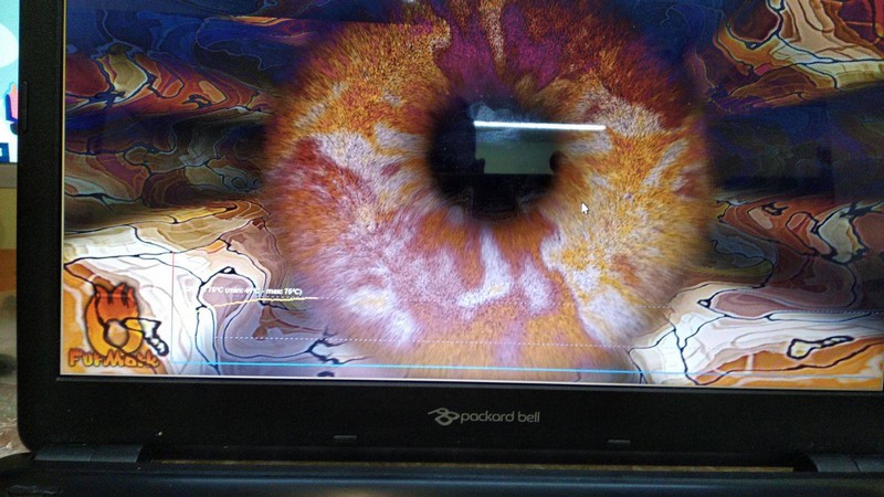 ремонт ноутбука Acer E1